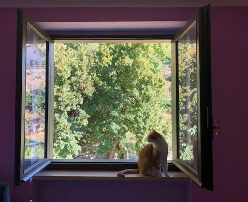 Casa Con Vista A Gravere Kültér fotó